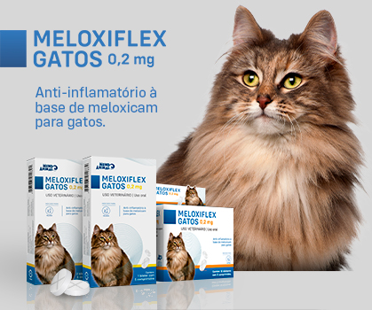 MELOXIFLEX GATOS