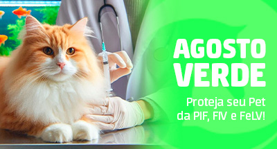 Agosto Verde: Proteja seu Pet da PIF, FIV e FeLV!