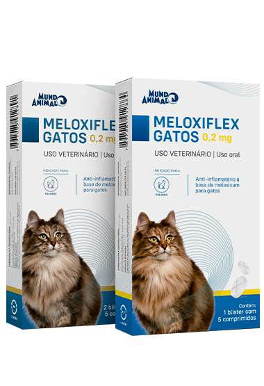 MELOXIFLEX GATOS 0,2 MG MELOXICAM