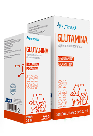 GLUTAMINA (L-GLUTAMINA, VALINA, ISOLEUCINA, MALTODEXTRINA E VITAMINAS DO COMPLEXO B)