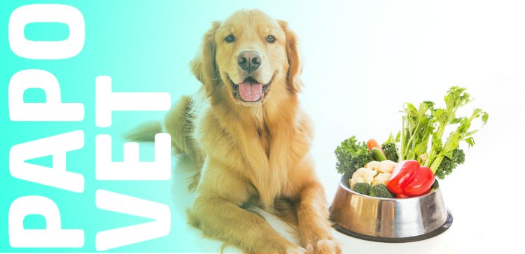 Papo Vet: Alimentação natural causa tártaro em pets?
