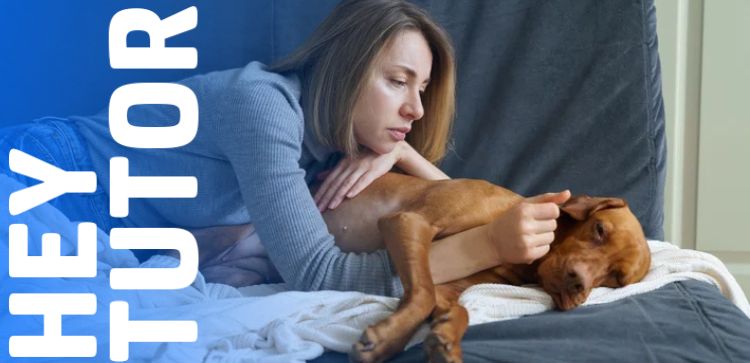 Hey Tutor: Seu pet apresenta esses sinais?